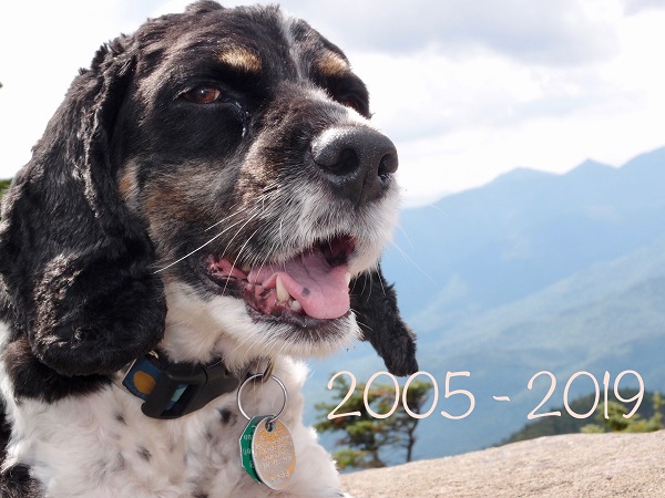 Snickers 2005-2019